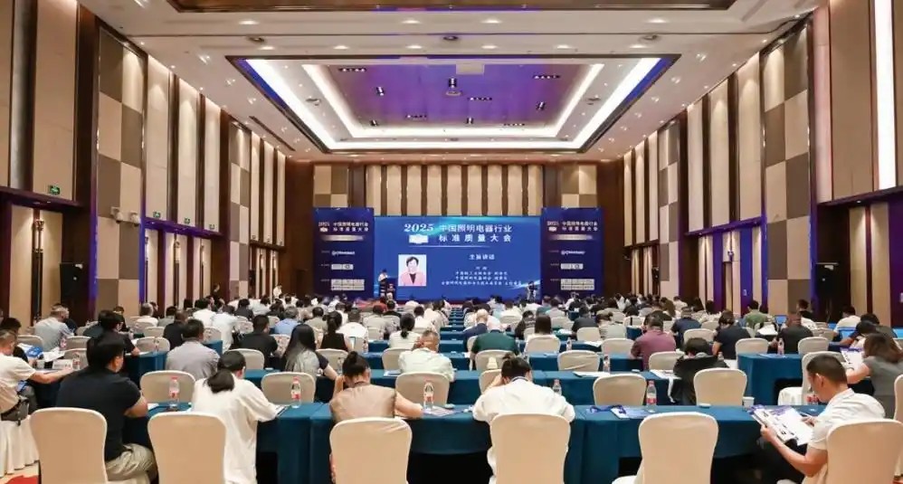 Vodenje industrije razsvetljave s standardno kakovostjo